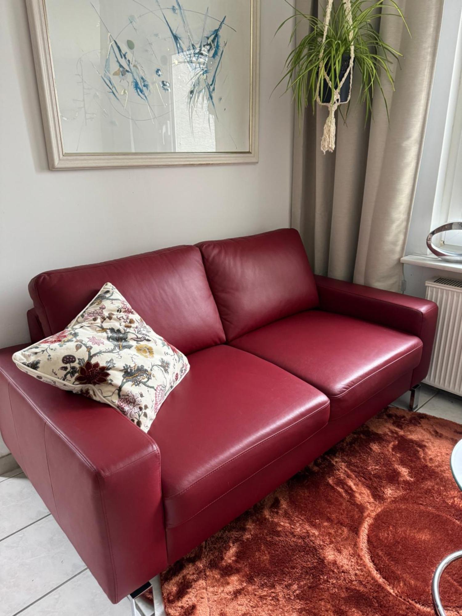 Ferienwohnung -Schwalbe Атендорн Екстериор снимка